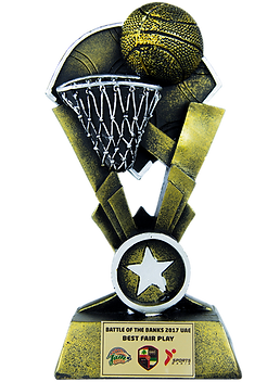 Other Awards
